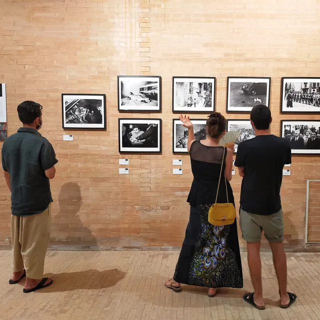 Terminal Mario Dondero