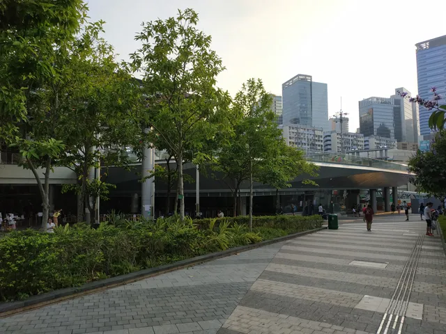 photo-1