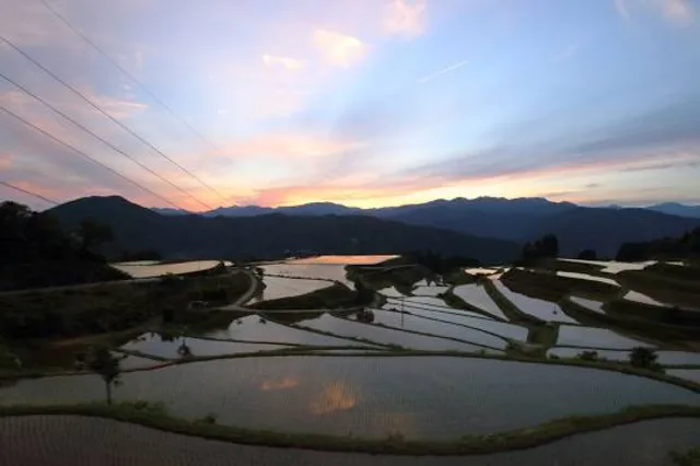 Takasu Rice Terrace
