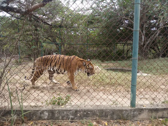 Parque Zoológico y Botánico Bararida