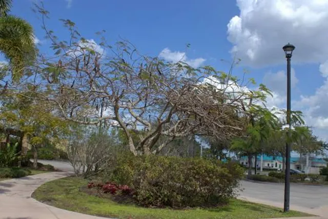 Port St. Lucie Botanical Gardens