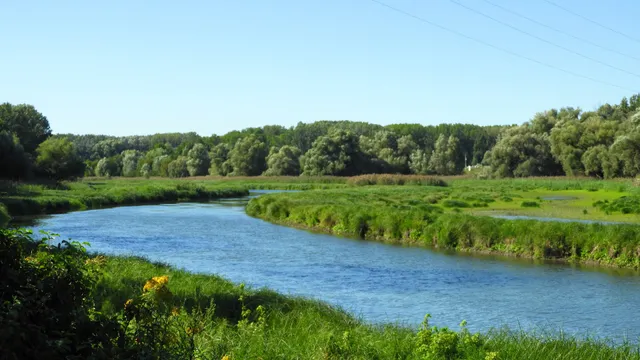 Nationalpark Donau-Auen