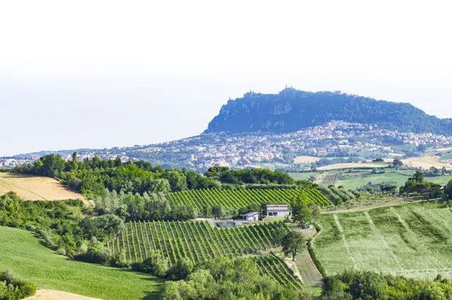 Società Agricola Delle Selve