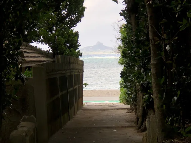 photo-3