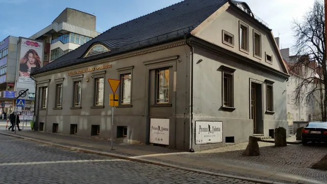 Galeria Muzeum Śląska Opolskiego