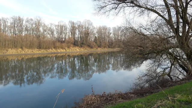 Oasi La Verbena Adige
