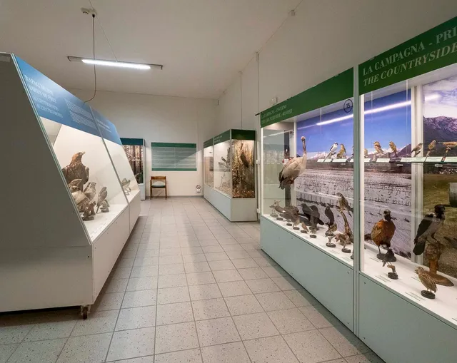 Museo Ornitologico Luigi Scanagatta