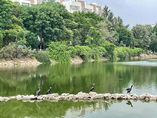 Chinnappanahalli Lake