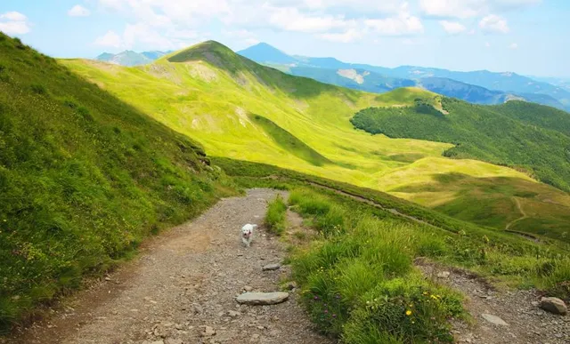 Unione dell'Alto Reno