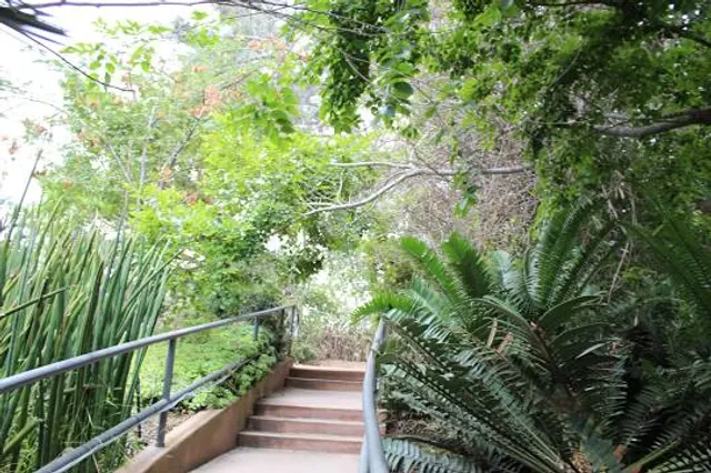 San Diego Botanic Garden