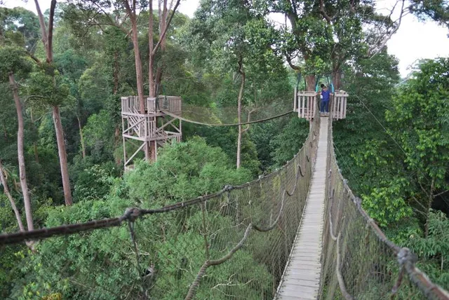 Bangkirai Hills Balikpapan