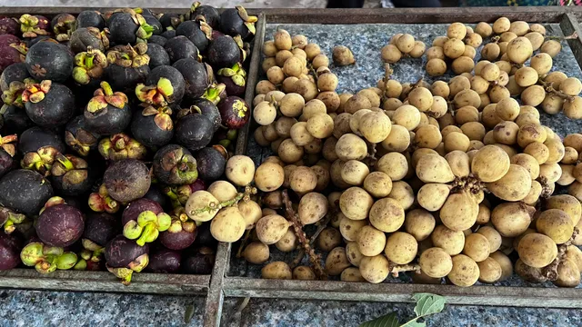 Vườn trái cây Bảo Thạch