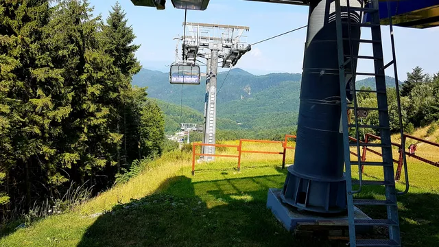 photo-2
