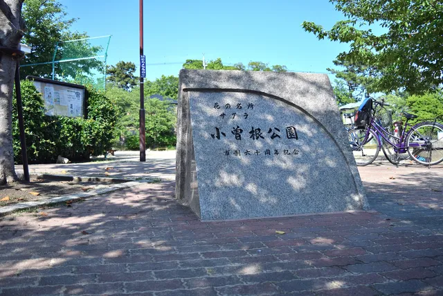photo-2