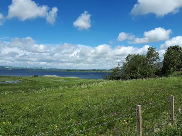 RSPB Scotland Loch Leven
