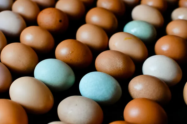 Hohns Acres Farmstead