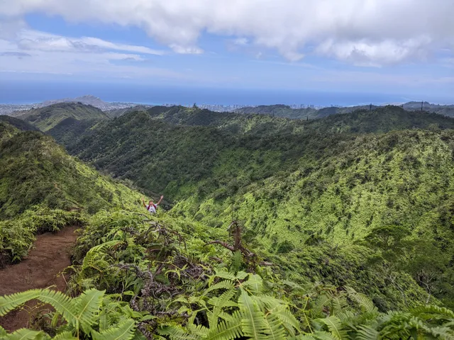 Honolulu Watershed Forest Reserve