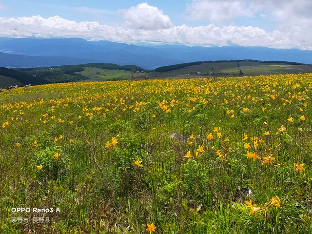 Kirigamine Nature Conservation Center