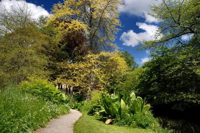 Mount Usher Gardens