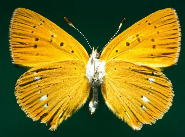 Naturwissenschaftliches Museum / Museen der Stadt Aschaffenburg