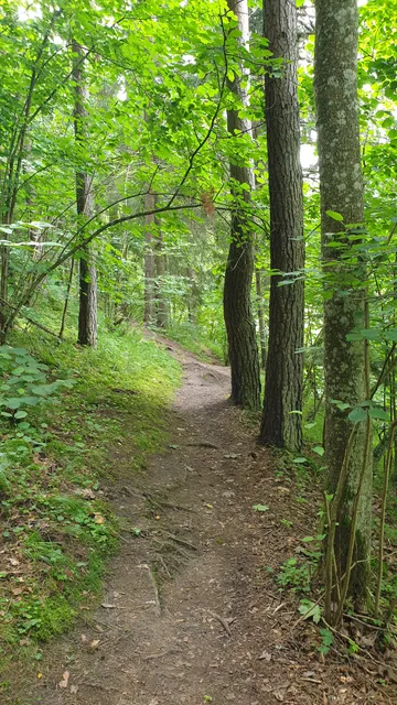 Vapramäe Nature House
