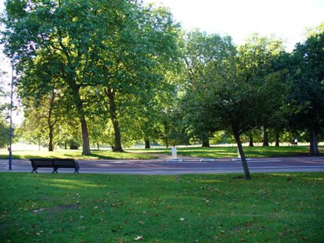 photo-1