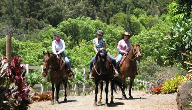 Makani Olu Ranch - Central Maui's Horseback riding experience