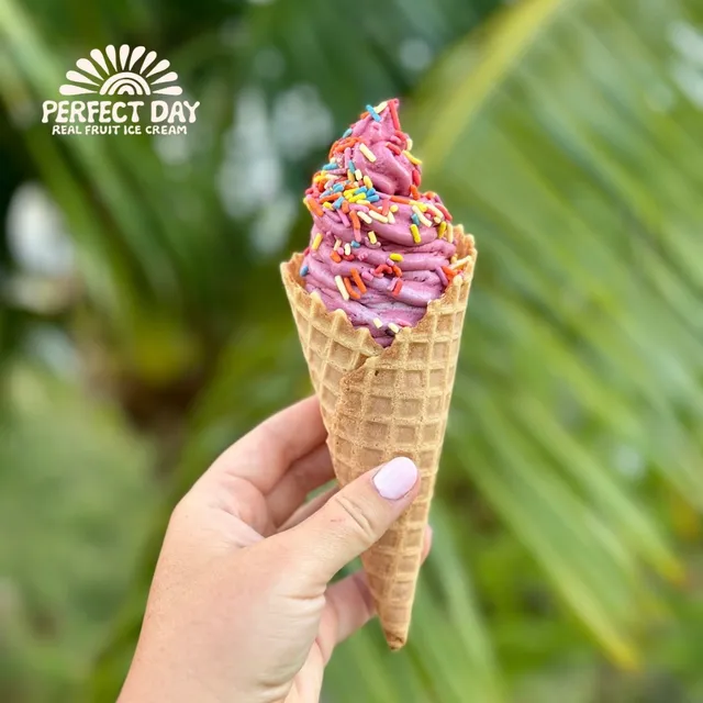 Perfect Day Real Fruit Ice Cream