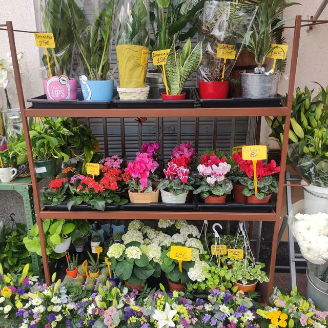 Floristería Vistabella