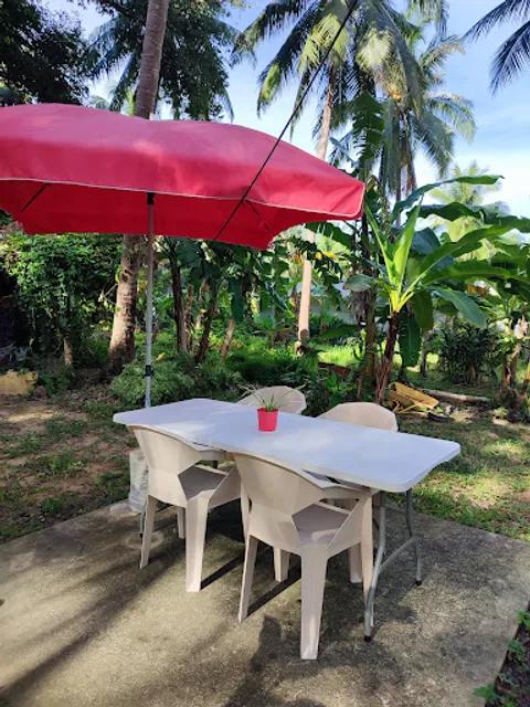 Cicci thai cooking school & bakery