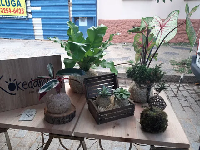 Mr. Beard Street Food