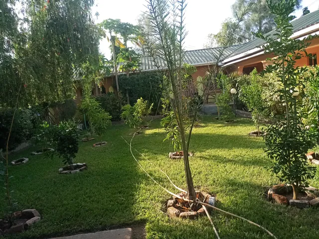 Triangle Palm Hotel, Katito