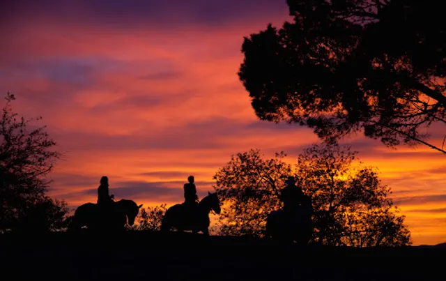 Sunset Ranch Hollywood