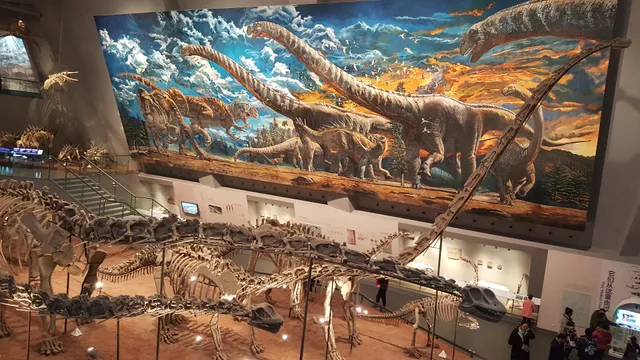 Chongqing Natural History Museum