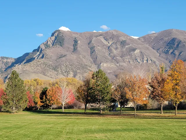 Town Center Meadows Park