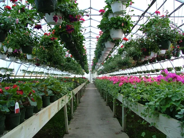 Sell Farms & Greenhouses