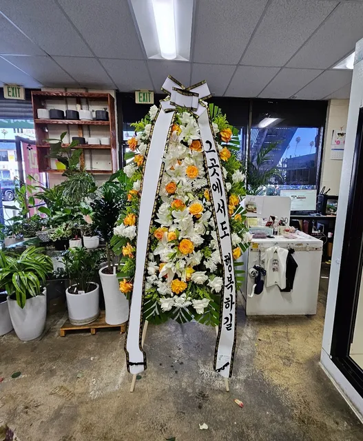 Olympic Nursery Flowers