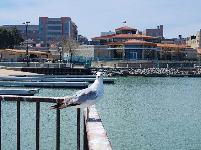 Festival Park, Racine Civic Center