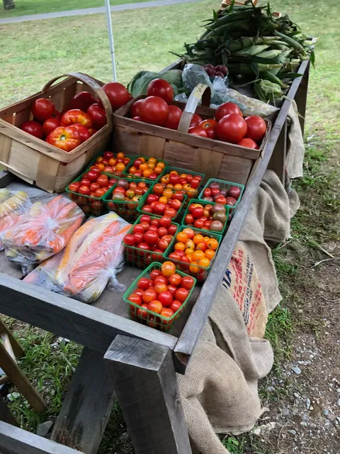 Patti's Patch/Big Rock Acres