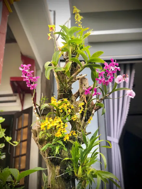 Coffee Workshop Hoi An