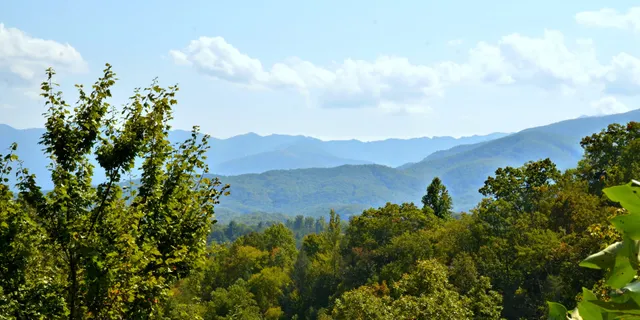 Little Log Vacation Rentals