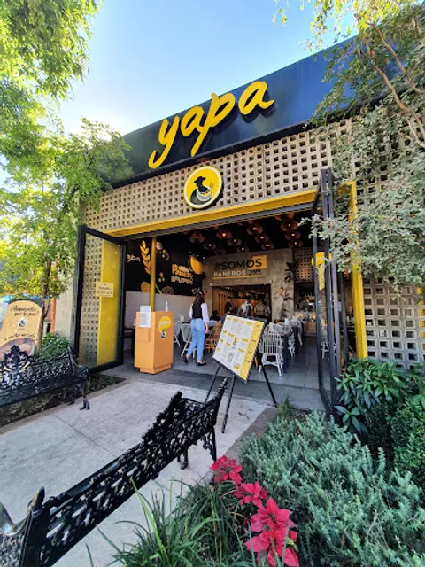 PANERA MÍA - Chapalita