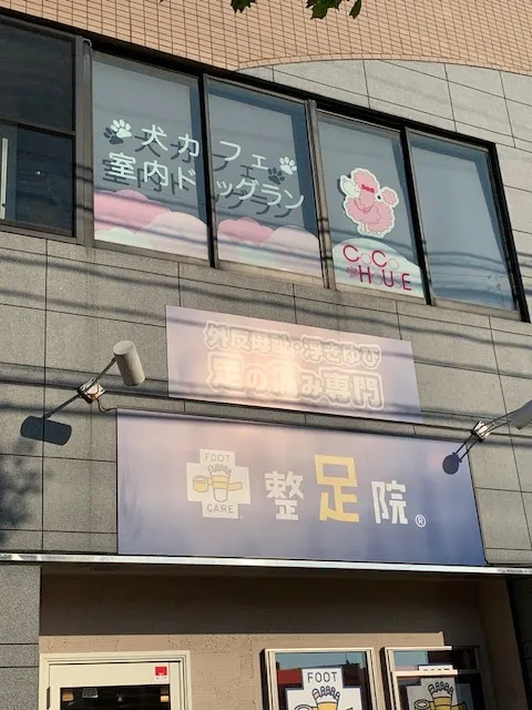 犬カフェ＆DOGラン ココハウス（COCOHOUSE)