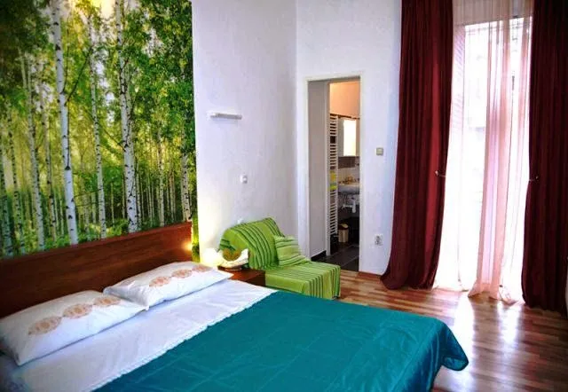 Central Rooms Demetrova