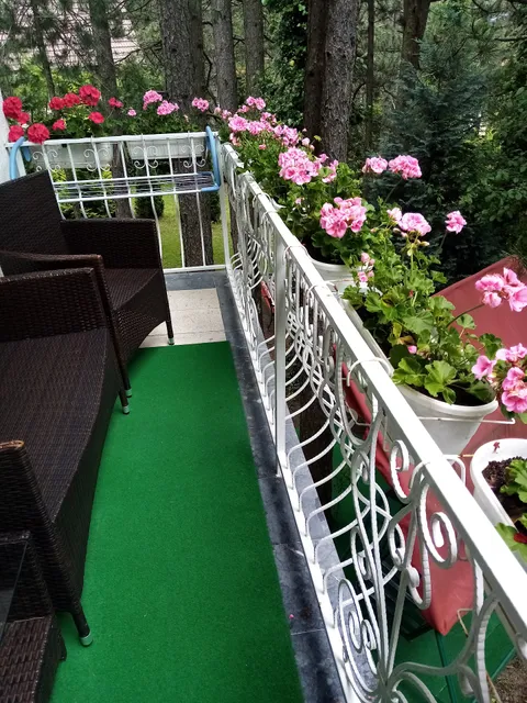 Vila Zora u borovima