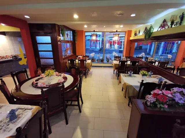 Asia Bambus Montabaur