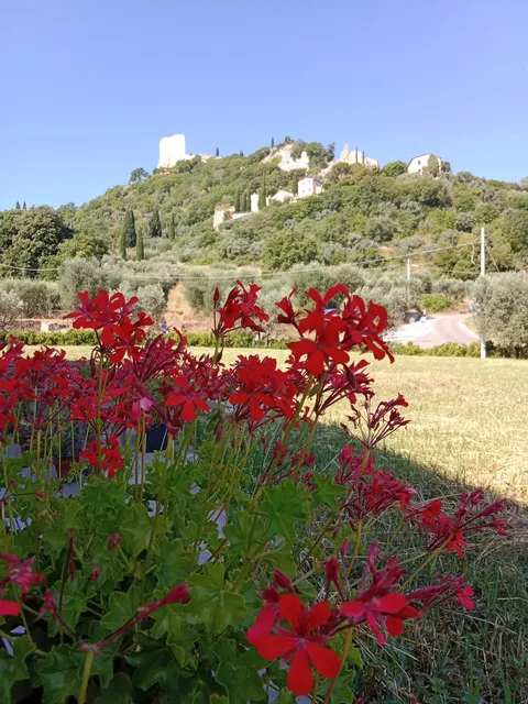 Oleificio Val D'Orcia