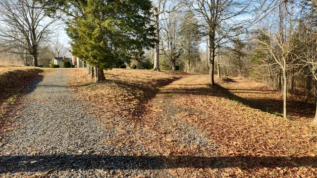 Birkhead Mountains Wilderness