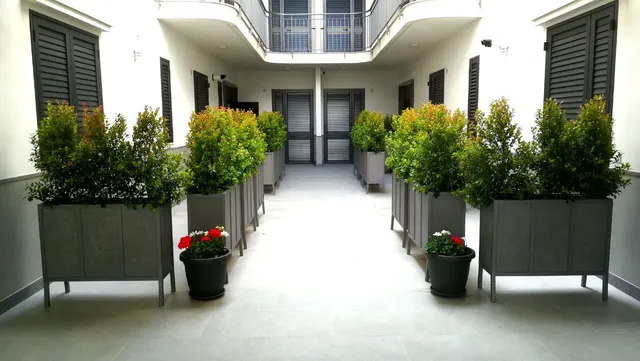 Case Vacanze Blue Sea