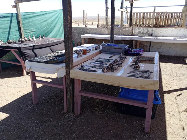 The Roadrunner Trading Post